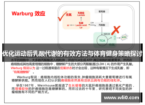优化运动后乳酸代谢的有效方法与体育健身策略探讨