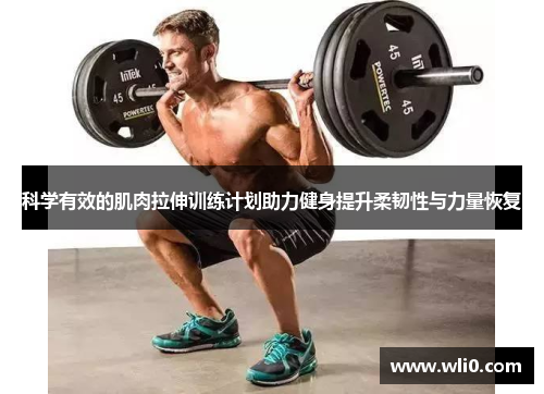 科学有效的肌肉拉伸训练计划助力健身提升柔韧性与力量恢复